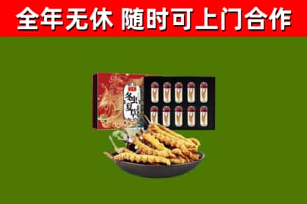 宝山区烟酒回收冬虫夏草礼盒.jpg